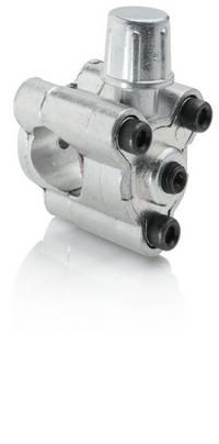 BPV21